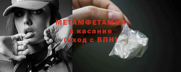 индика Балабаново