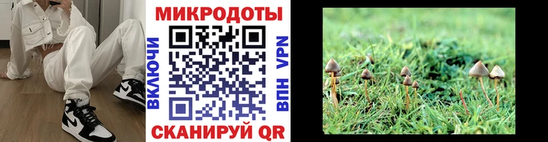 где купить   Верхняя Салда  darknet какой сайт  Галлюциногенные грибы ЛСД  кракен ONION 